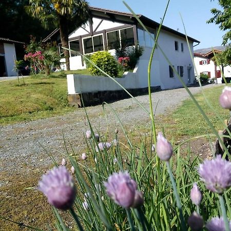 Gite Etxe Xuri Ossès Exteriér fotografie